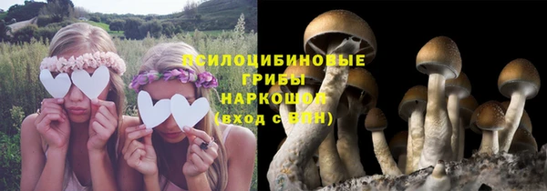 MDMA Козельск