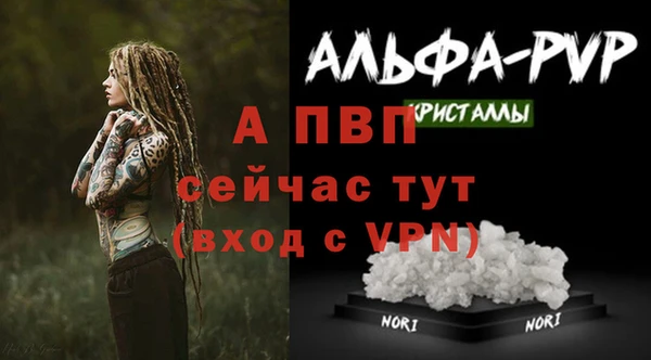 mdpv Козловка