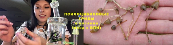 mdpv Козловка