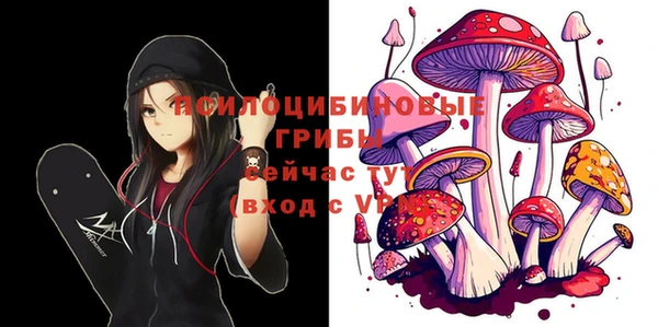 mdpv Козловка