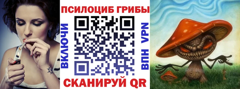 Купить где  Оса  Галлюциногенные грибы Psilocybe 